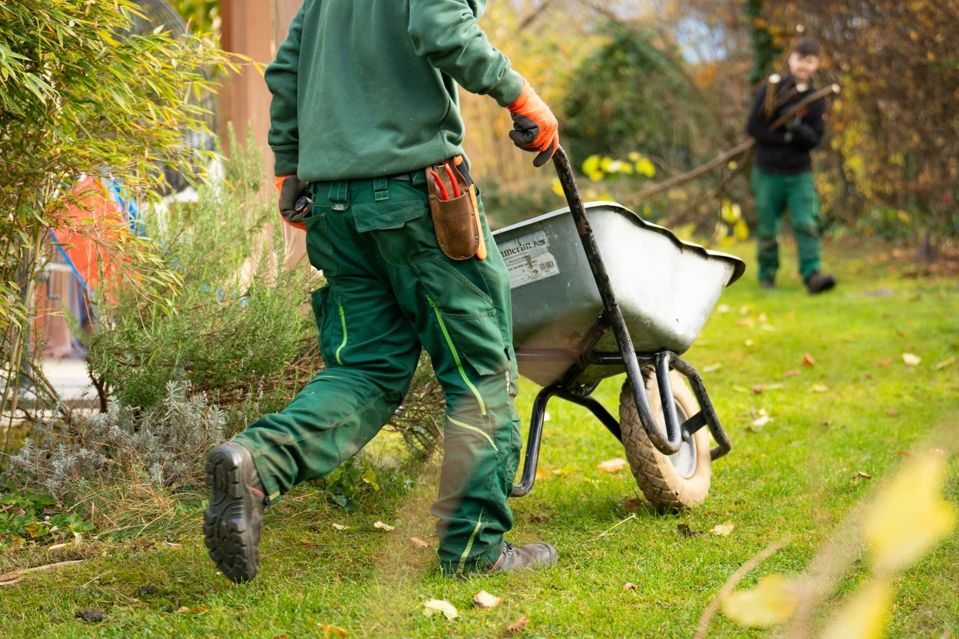 Professional service provider at work